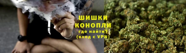 соль ск Алзамай
