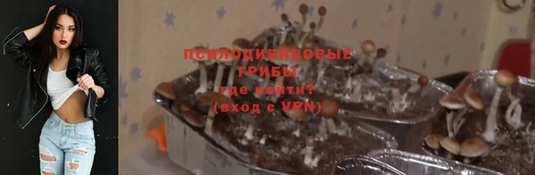 меф Алексин